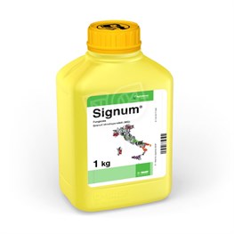 SIGNUM BASF - KG 1